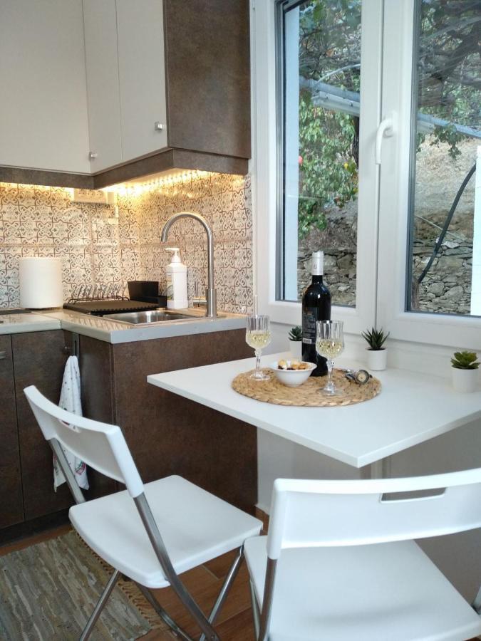 House With Beautiful Garden In Plomari Apartman Kültér fotó